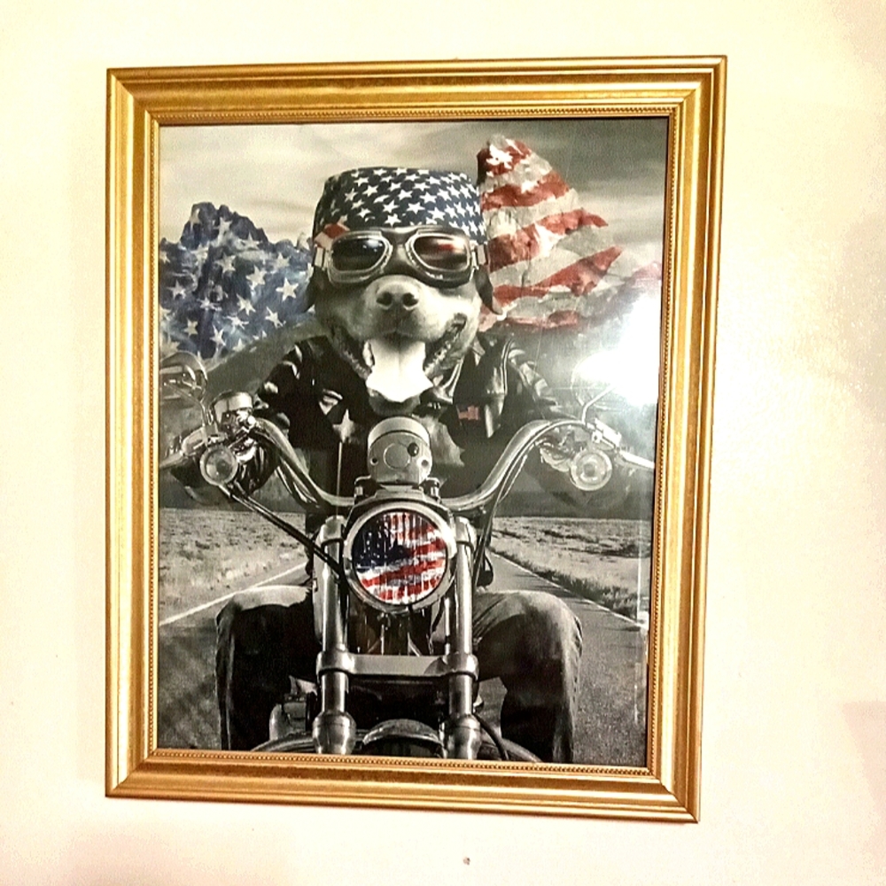 Framed Art Print